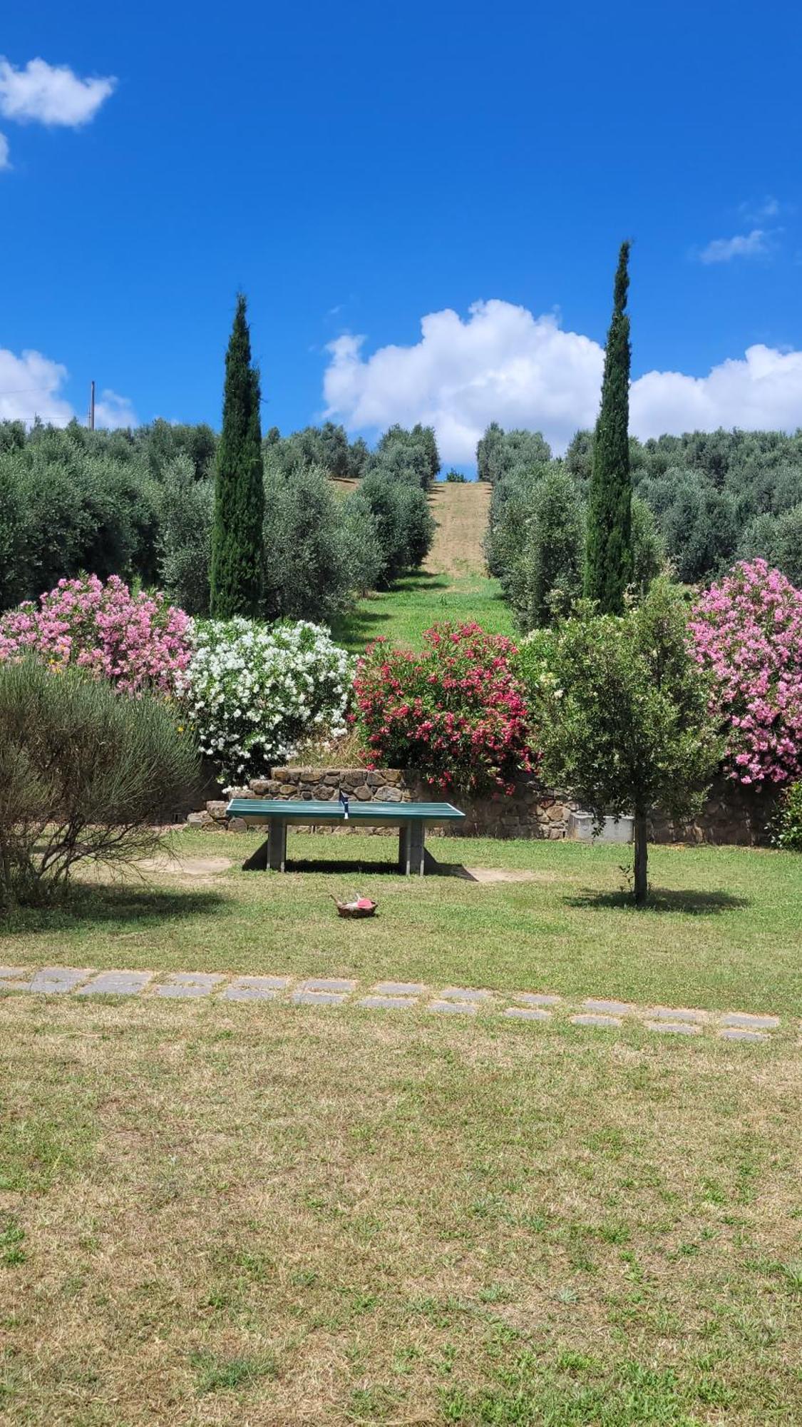 Agriturismo Podere Casalone Limite Exterior foto